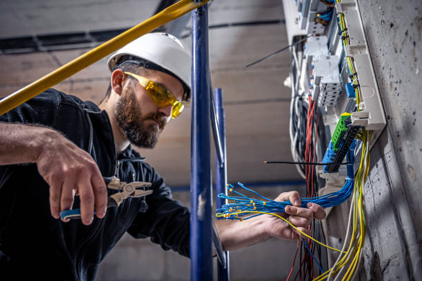 Best Electrician for Home Renovation  in Reedurban, OH